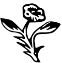 Conatus