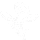Conatus